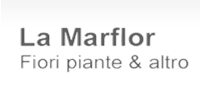 LAMARFLORSRL
