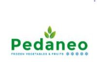 PEDANEO