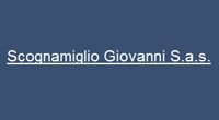 SCOGNAMIGLIOGIOVANNISAS