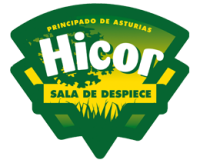 logo_hicor_principal