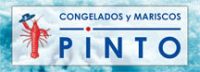 pinto