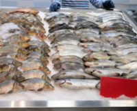 proveedores-pescado_crs2